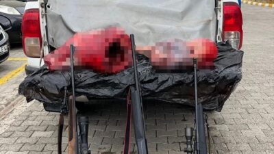 Erzincan, İliç ilçesi Çaltı köyü Yeşilyurt mezrası mevkiinde kaçak olarak