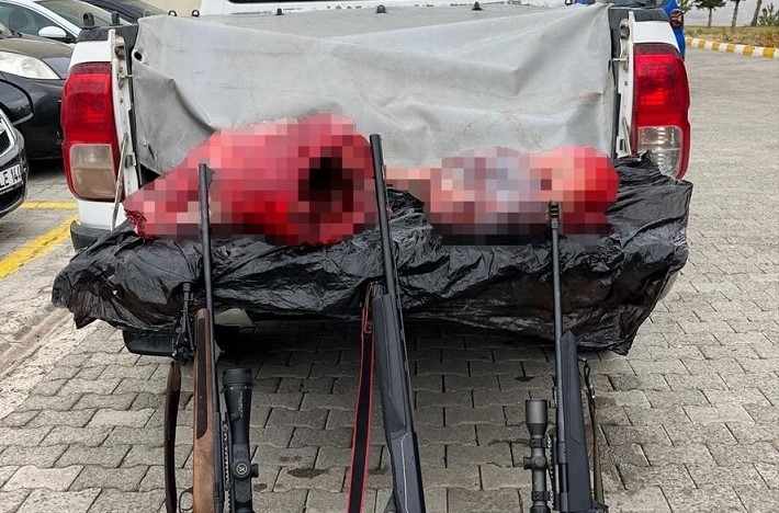 Erzincan, İliç ilçesi Çaltı köyü Yeşilyurt mezrası mevkiinde kaçak olarak