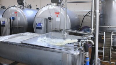 Türkiye’de süt üretimindeki düşüş yılın son çeyreğinde de devam etti.