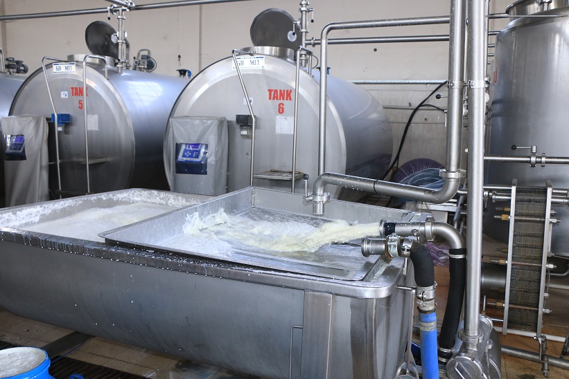 Türkiye’de süt üretimindeki düşüş yılın son çeyreğinde de devam etti.