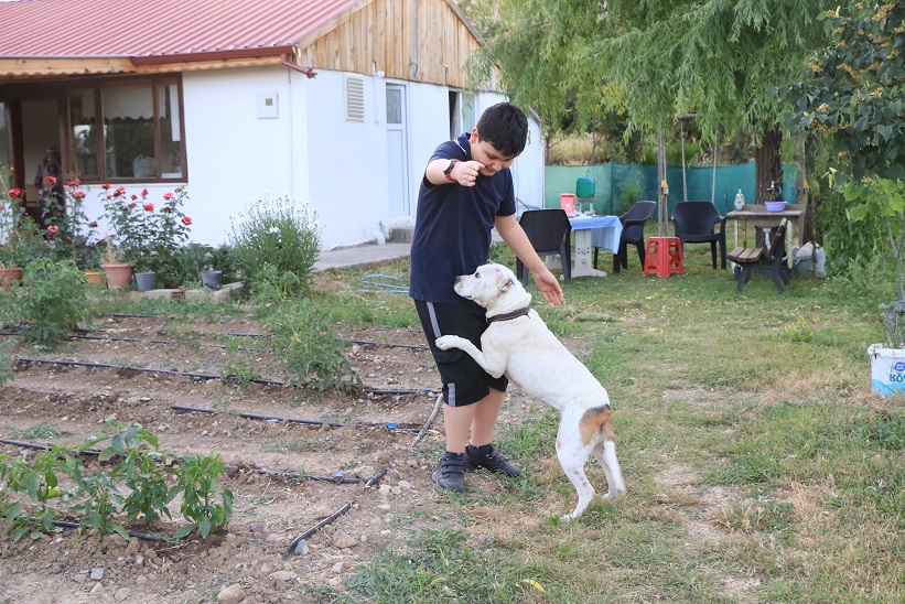 Erzincan il Tarım ve Orman Müdürlüğü, kedi ve köpek sahiplerine