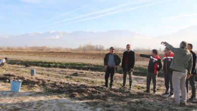 Erzincan’da 3 köyde 1000 dekarlık mera alanına dikilen tuz çalısı,