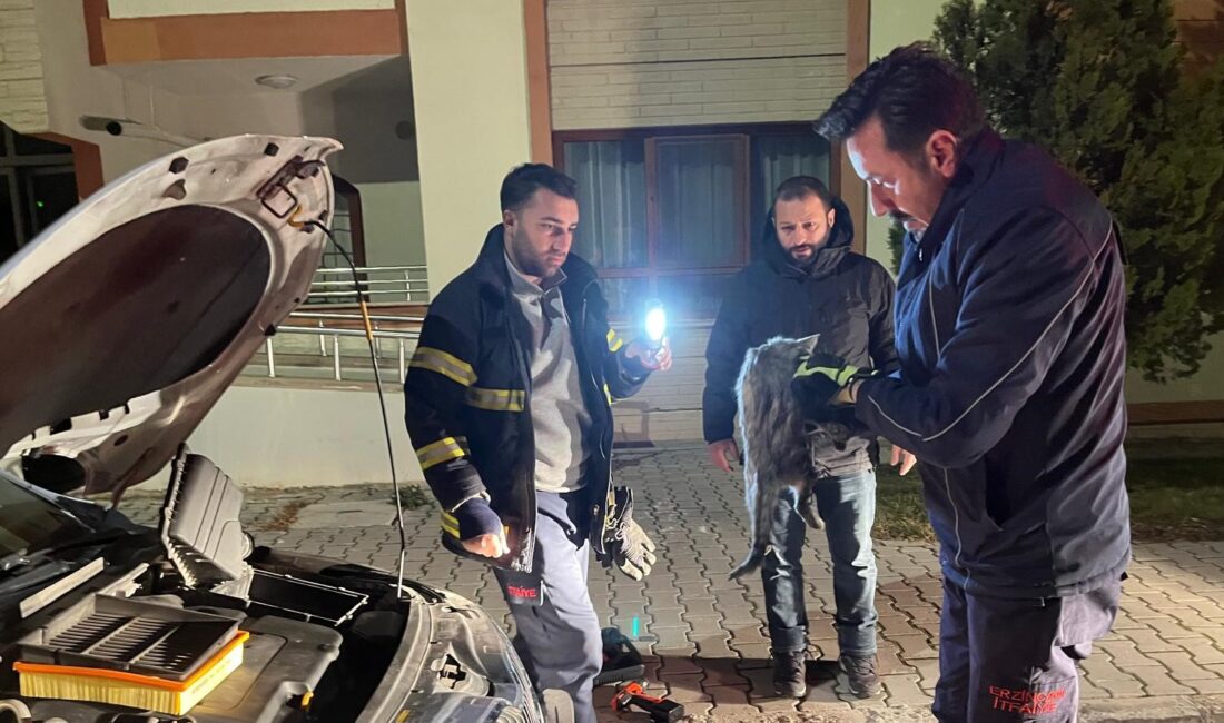 Erzincan’da park halindeki bir aracın motor kısmına sıkışan kedi, itfaiye