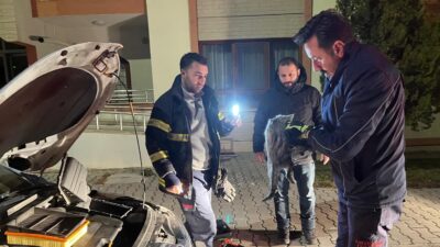 Erzincan’da park halindeki bir aracın motor kısmına sıkışan kedi, itfaiye