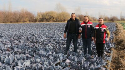 Erzincan’ın mikroklima özelliği sayesinde Aralık ayında brokoli, karnabahar ve mor