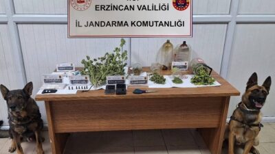Erzincan İl Jandarma Komutanlığınca, 2025 yılı içerisinde icra edilen Asayiş,