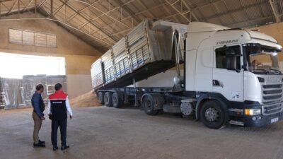 Toprak Mahsulleri Ofisi Erzincan Şube Müdürlüğü, büyükbaş ve küçükbaş hayvan