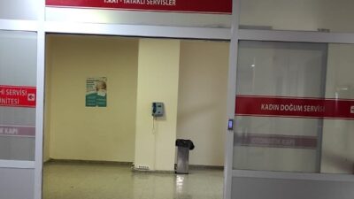 Doğum iznine ilişkin önemli düzenlemeleri kapsayan kanun teklifi, Türkiye Büyük