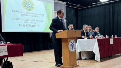 Erzincan’da küçükbaş hayvancılığın mevcut durumu ve geleceği, Erzincan Damızlık Koyun