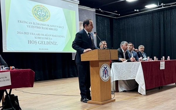 Erzincan’da küçükbaş hayvancılığın mevcut durumu ve geleceği, Erzincan Damızlık Koyun