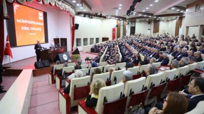 Erzincan Binali Yıldırım Üniversitesi Rektörü Prof. Dr. Akın Levent, Yükseköğretim