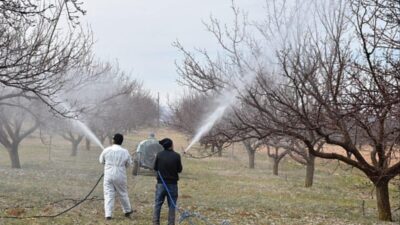 Tarım ve Orman İl Müdürlüğü, Erzincan’daki kayısı bahçelerinde görülebilecek Monilya