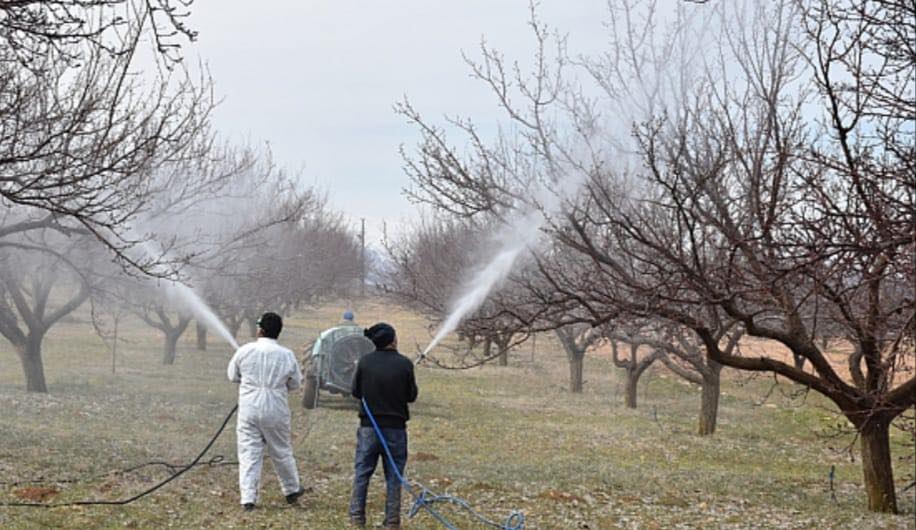 Tarım ve Orman İl Müdürlüğü, Erzincan’daki kayısı bahçelerinde görülebilecek Monilya