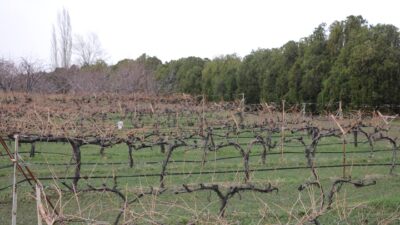 Erzincan Tarım ve Orman İl Müdürlüğünden yapılan paylaşımda; yapılan son