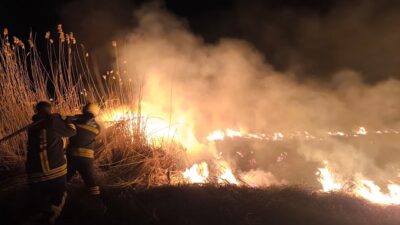 Erzincan - Kemah yolu mevkiinde çıkan arazi (anız) yangını, ekiplerin