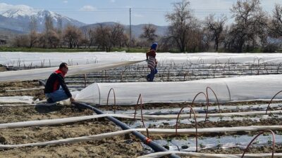 Erzincan’da uygun iklim ve toprak koşulları sayesinde sebzecilik gelişirken, üreticiler