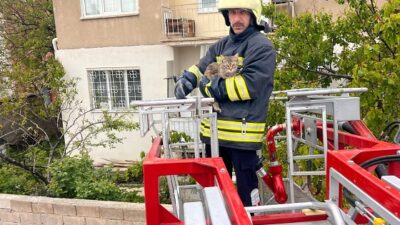 Erzincan’da bir evin çatısında mahsur kalan kedi, itfaiye ekiplerinin müdahalesiyle