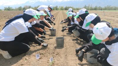 Ertuğrulgazi Anadolu Lisesi Harezmi Eğitim Modeli proje ekibi, “Biyoçeşitliliği nasıl