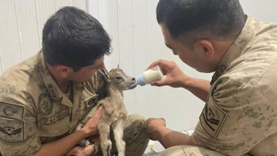 Erzincan'ın Kemaliye ilçesinde jandarma ekiplerinin önleyici kolluk devriyesi sırasında yol