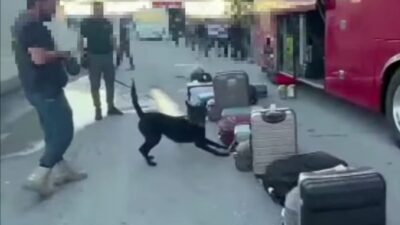 Erzincan İl Emniyet Müdürlüğü ekiplerince, terörün finans kaynaklarından biri olarak