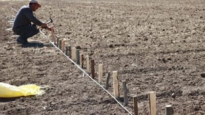 Erzincan’da tarımsal üretimde katma değeri artırmaya yönelik çalışmalar kapsamında, Bahçe