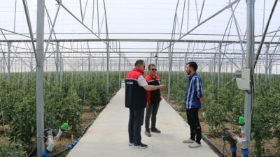 Erzincan İl Tarım ve Orman Müdürü Alper Koçaker, Erzincan Toplu
