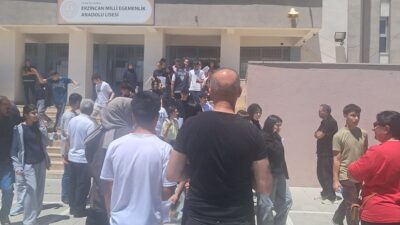 Fen Liseleri, Sosyal Bilimler Liseleri, Proje okulları ile Mesleki ve