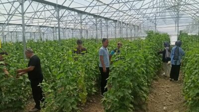 Erzincan Bahçe Kültürleri Araştırma Enstitüsü, tarımsal AR-GE çalışmalarının yanı sıra
