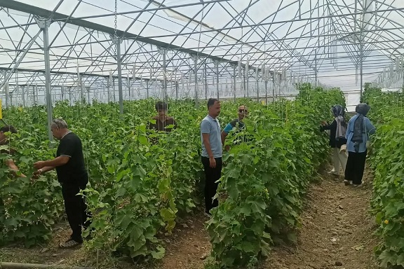 Erzincan Bahçe Kültürleri Araştırma Enstitüsü, tarımsal AR-GE çalışmalarının yanı sıra