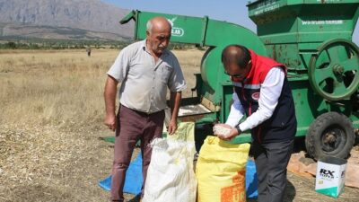 Erzincan’ın önemli tarımsal ürünlerinden kuru fasulyede hasat sezonu başladı. 