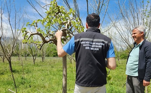 Erzincan Bahçe Kültürleri Araştırma Enstitüsü Müdürlüğü, üreticilerin karşılaştığı sorunların çözümüne