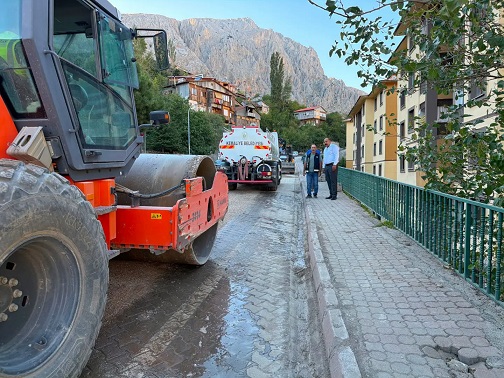 Erzincan’ın Kemaliye ilçesinde doğalgaz altyapı çalışmalarının yürütüldüğü kazı alanlarında ulaşımın