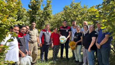 Erzincan’ın Kemah ilçesinde alternatif tarımsal üretim örneklerinden biri olan fındık