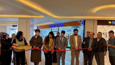 Erzincan Toplum Ruh Sağlığı Merkezi (TRSM) danışanlarının yıl boyunca çeşitli