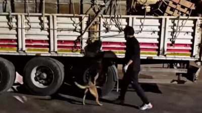 Hakkâri’nin Yüksekova ilçesinde canlı arı kovanlarının içerisindeki peteklerin arasına gizlenmiş